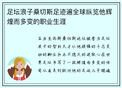 足坛浪子桑切斯足迹遍全球纵览他辉煌而多变的职业生涯